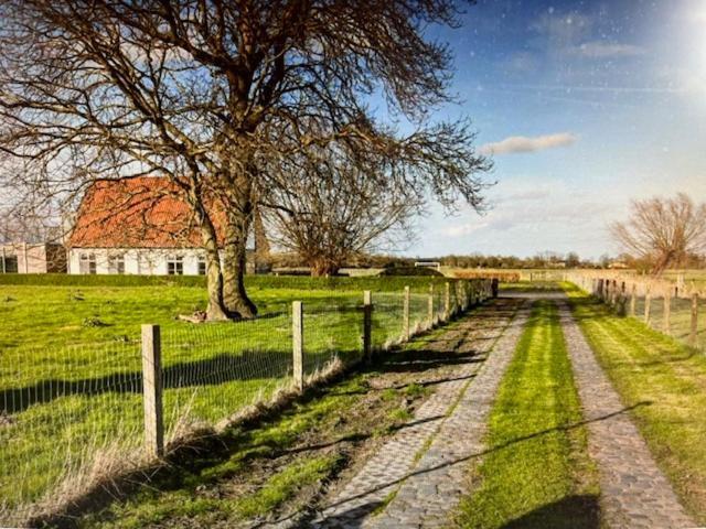 Schravenhoek Met Indoorzwembad En Sauna Вёрне Экстерьер фото